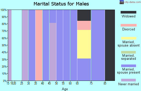 Zip code 12130 marital status for males