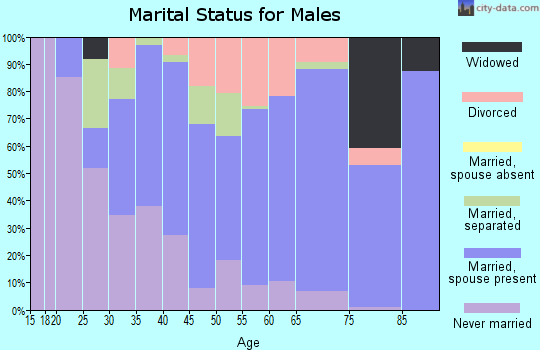 Zip code 12134 marital status for males