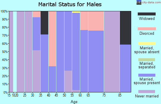 Zip code 12137 marital status for males