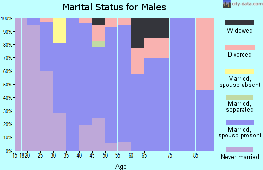 Zip code 12143 marital status for males