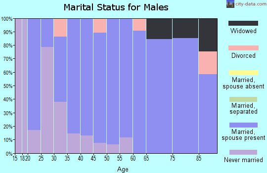 Zip code 12148 marital status for males