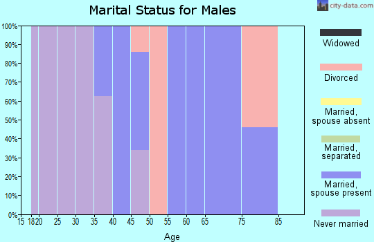 Zip code 12150 marital status for males