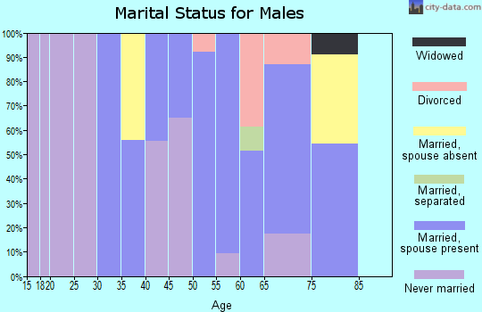 Zip code 12151 marital status for males