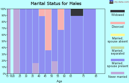 Zip code 12153 marital status for males