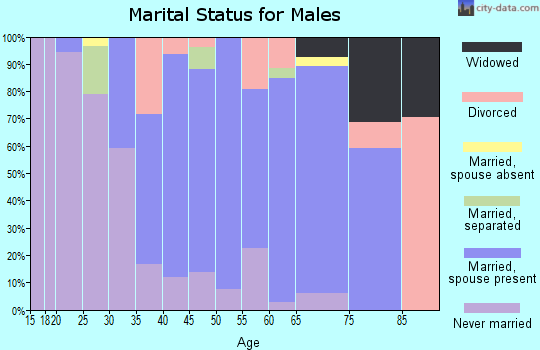 Zip code 12154 marital status for males
