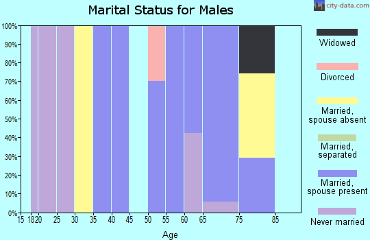 Zip code 12156 marital status for males