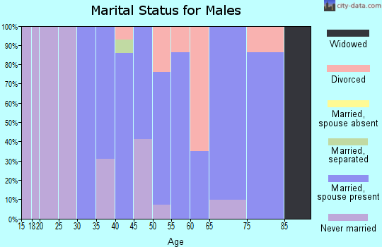 Zip code 12168 marital status for males