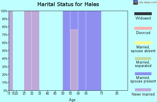Zip code 12169 marital status for males