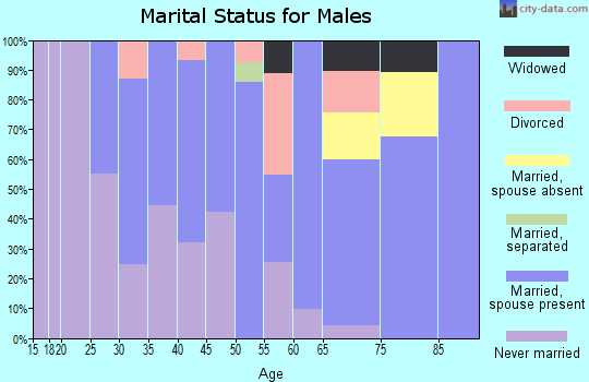 Zip code 12183 marital status for males