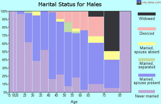 Zip code 12184 marital status for males