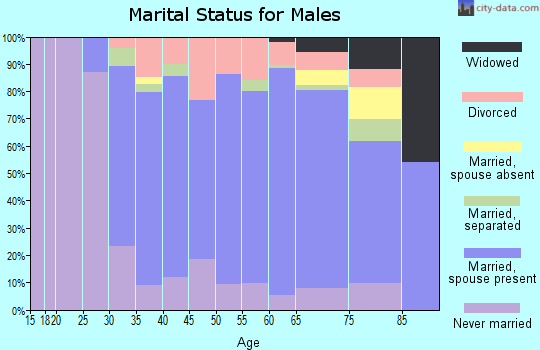 Zip code 12186 marital status for males