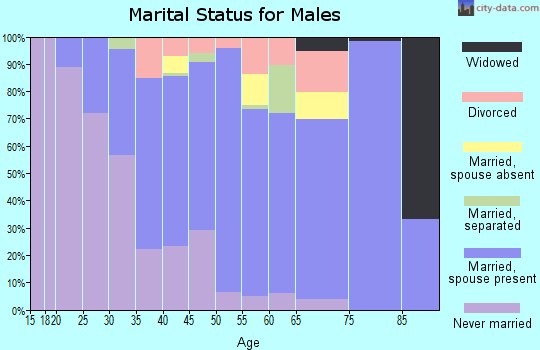Zip code 12188 marital status for males