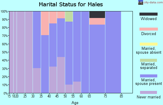 Zip code 12192 marital status for males