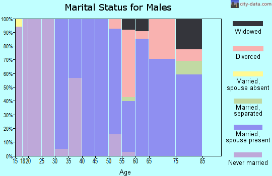 Zip code 12196 marital status for males