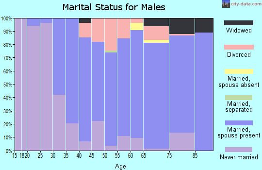 Zip code 12197 marital status for males