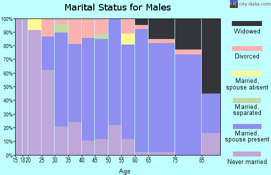 Zip code 12198 marital status for males