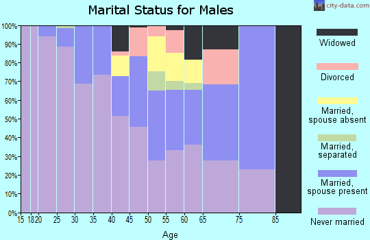 Zip code 12202 marital status