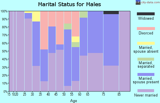 Zip code 12204 marital status for males