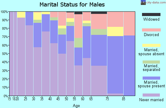 Zip code 12206 marital status for males