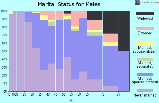 Zip code 12208 marital status for males