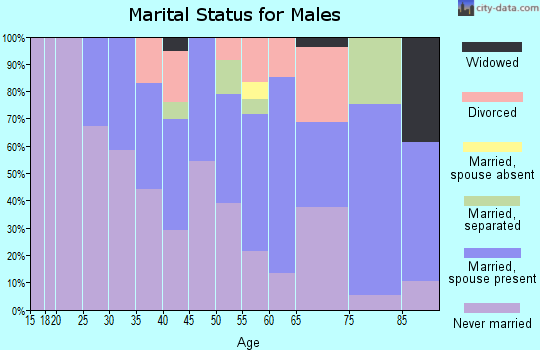 Zip code 12209 marital status for males