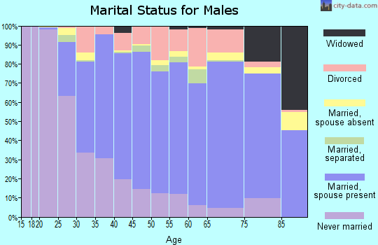 Zip code 12302 marital status for males