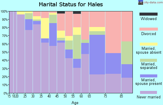Zip code 12305 marital status for males