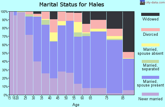 Zip code 12306 marital status for males