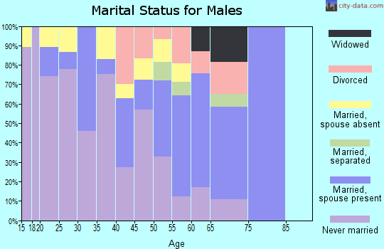 Zip code 12307 marital status for males