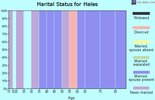 Zip code 12411 marital status for males