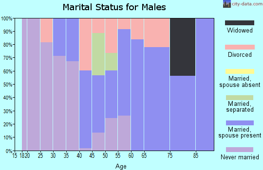 Zip code 12413 marital status for males