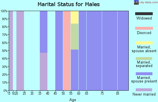 Zip code 12418 marital status for males