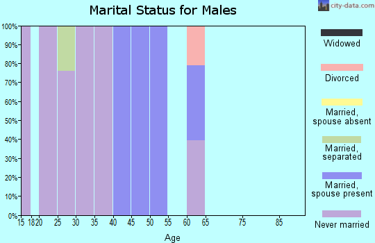 Zip code 12419 marital status for males