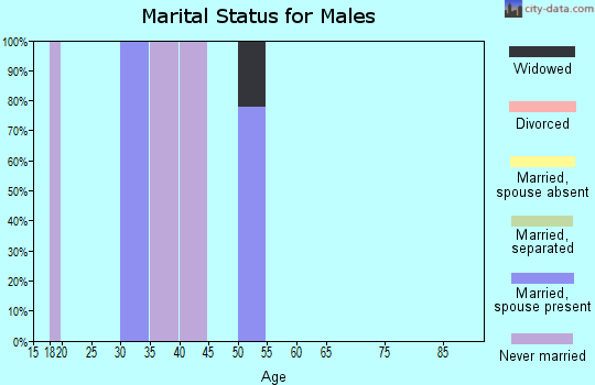 Zip code 12429 marital status for males