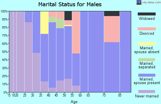 Zip code 12443 marital status for males