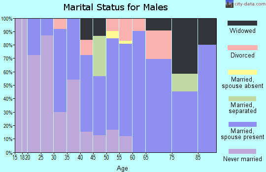 Zip code 12446 marital status for males