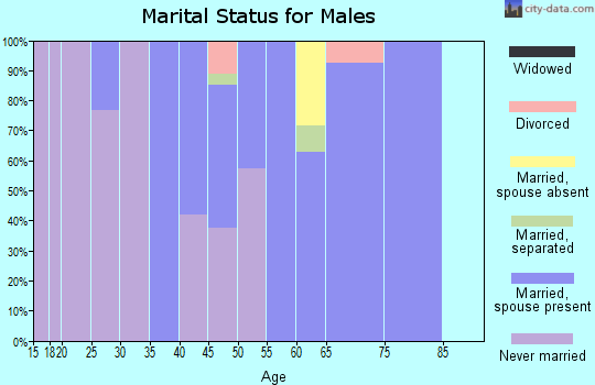 Zip code 12451 marital status for males