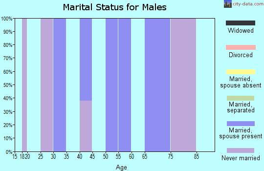 Zip code 12460 marital status for males