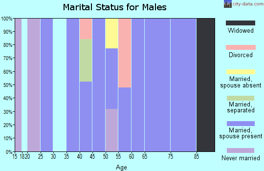 Zip code 12481 marital status for males