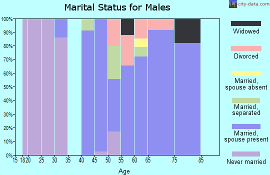 Zip code 12491 marital status for males