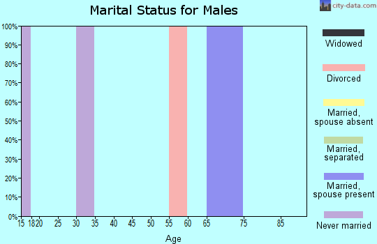 Zip code 12493 marital status for males