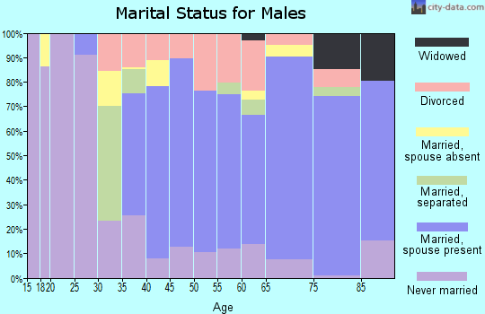 Zip code 12498 marital status for males