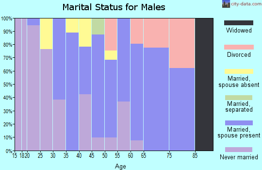 Zip code 12501 marital status for males