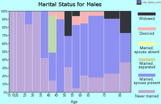 Zip code 12502 marital status for males