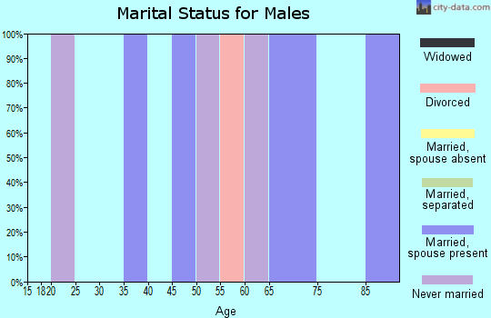 Zip code 12513 marital status for males