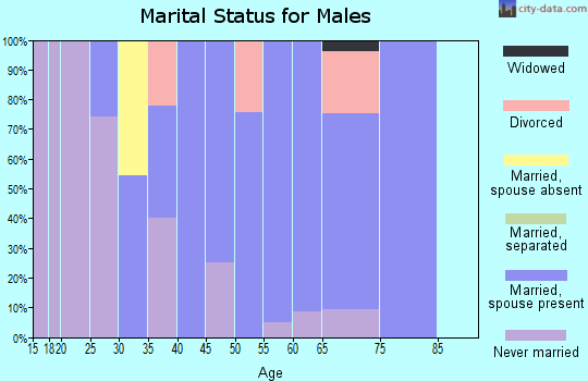 Zip code 12514 marital status for males