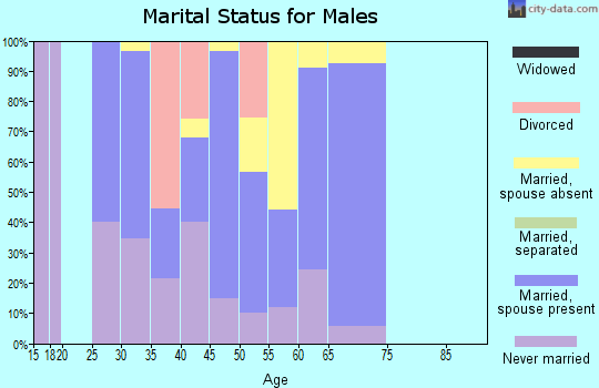 Zip code 12515 marital status for males