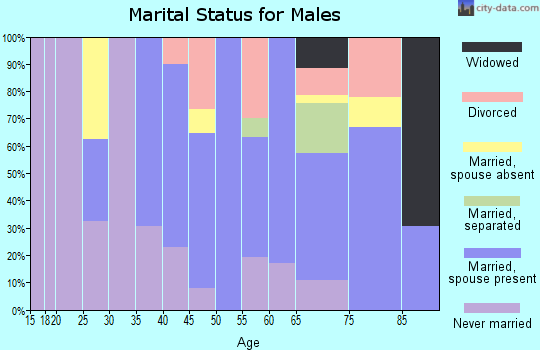 Zip code 12516 marital status for males