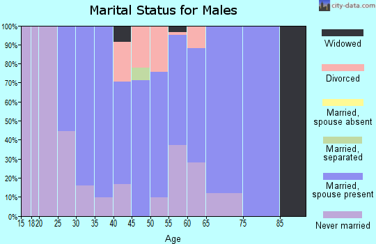 Zip code 12520 marital status for males