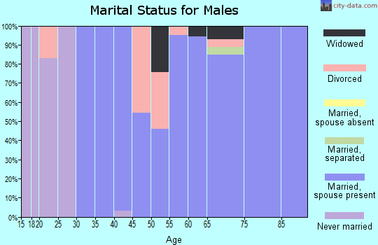 Zip code 12521 marital status for males